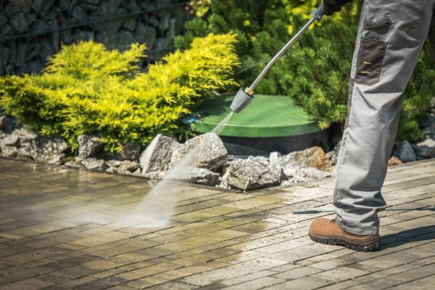 Best Roof Washing  in Forney, TX